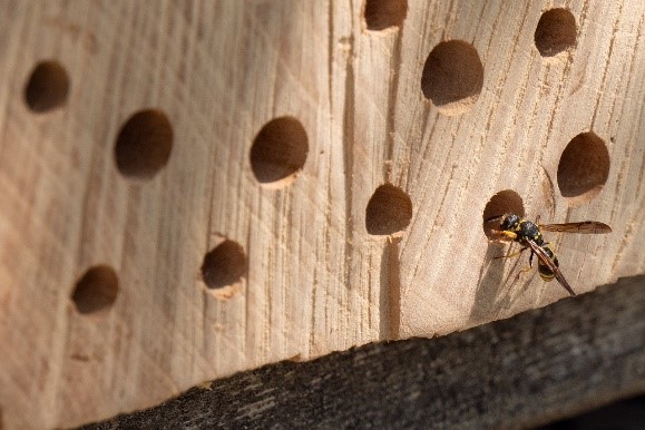 Insektenhotel Foto 2